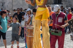 Yellow Stilts 1